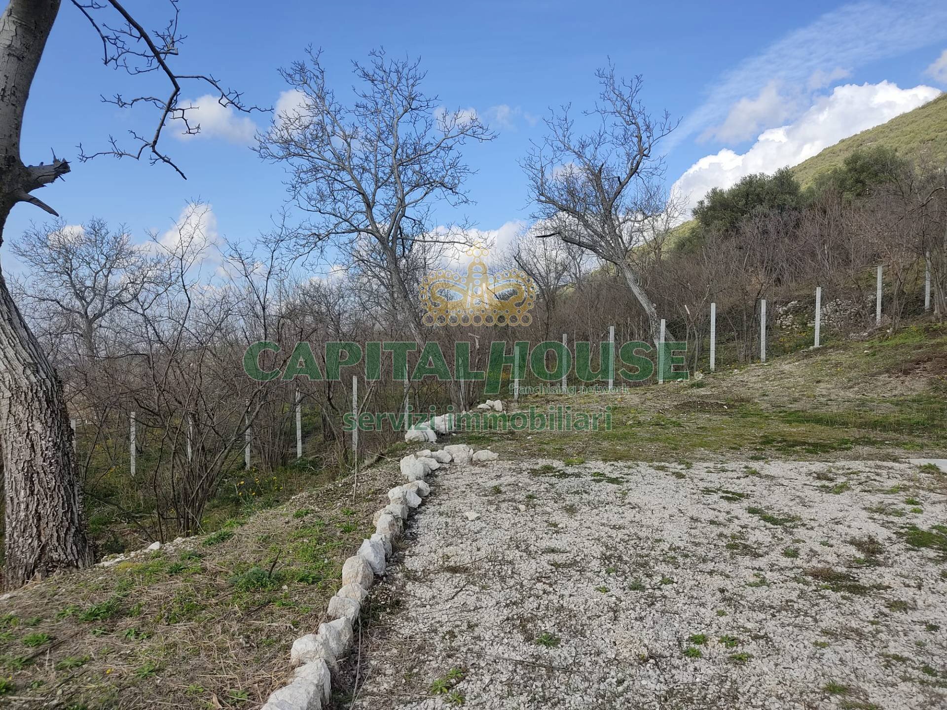 Foto 2 - Terreno agricolo sirignano, Sirignano - foto 2