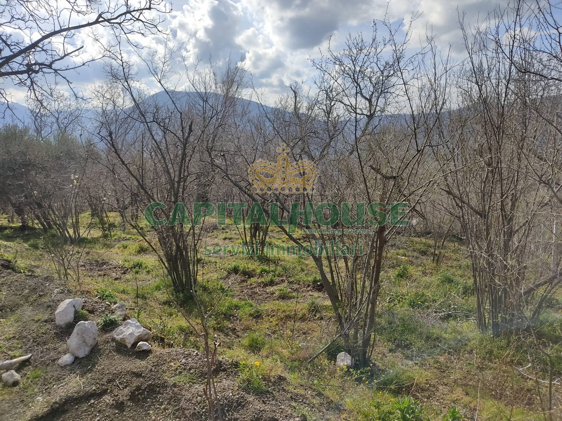 Foto 3 - Terreno agricolo sirignano, Sirignano - foto 3