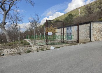 Foto 1 - Terreno agricolo sirignano, Sirignano - foto 1