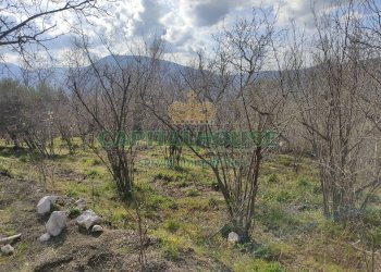 Foto 3 - Terreno agricolo sirignano, Sirignano - foto 3