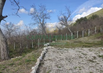 Foto 9 - Terreno agricolo sirignano, Sirignano - foto 9