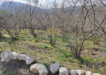 Foto 14 - Terreno agricolo sirignano, Sirignano - foto 14