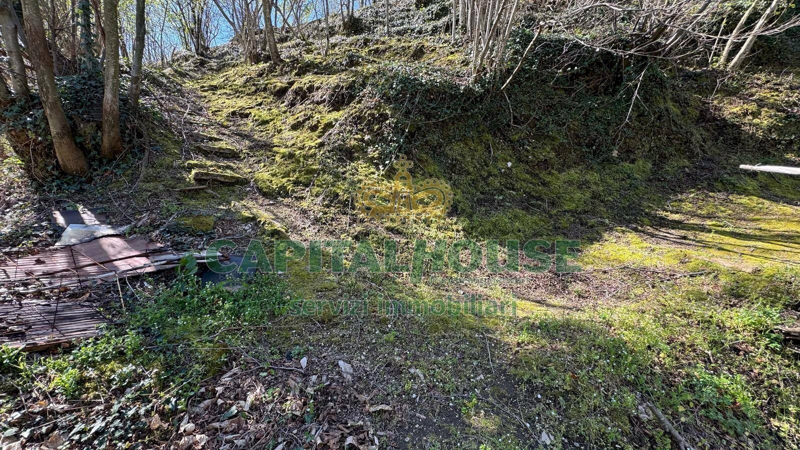 Foto 1 - Terreno agricolo mugnano del cardinale, Mugnano del Cardinale - foto 1