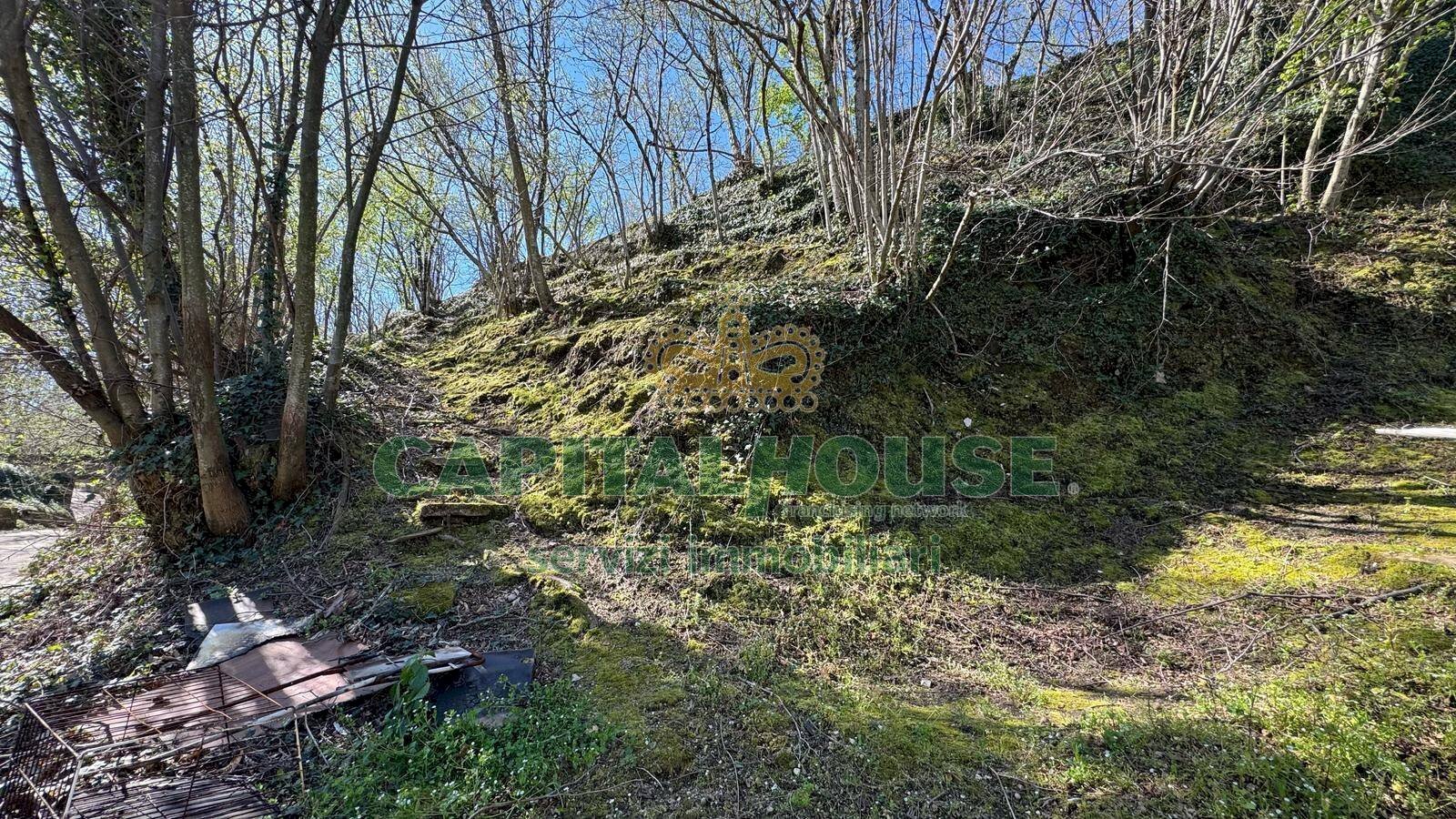 Foto 2 - Terreno agricolo mugnano del cardinale, Mugnano del Cardinale - foto 2