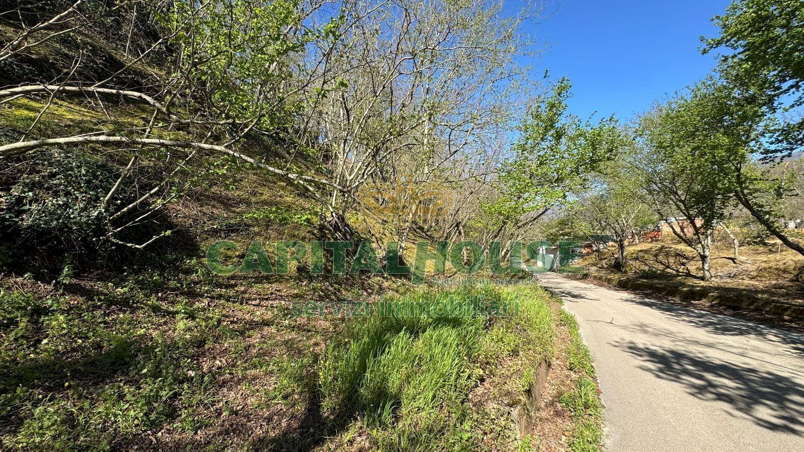 Foto 3 - Terreno agricolo mugnano del cardinale, Mugnano del Cardinale - foto 3