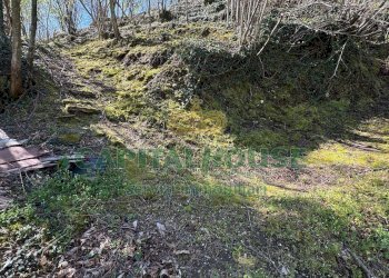 Foto 1 - Terreno agricolo mugnano del cardinale, Mugnano del Cardinale - foto 1