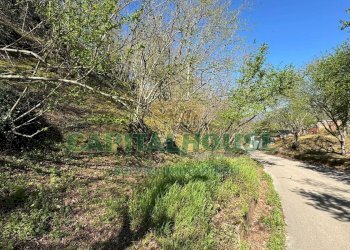 Foto 3 - Terreno agricolo mugnano del cardinale, Mugnano del Cardinale - foto 3