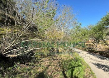 Foto 4 - Terreno agricolo mugnano del cardinale, Mugnano del Cardinale - foto 4