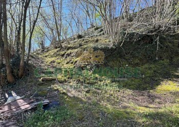 Foto 12 - Terreno agricolo mugnano del cardinale, Mugnano del Cardinale - foto 12