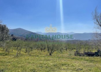 Foto 4 - Terreno agricolo avella, Avella - foto 4