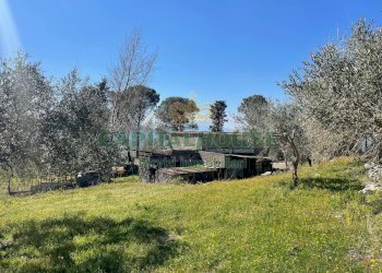 Foto 5 - Terreno agricolo avella, Avella - foto 5