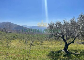 Foto 7 - Terreno agricolo avella, Avella - foto 7