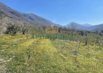 Foto 8 - Terreno agricolo avella, Avella - foto 8