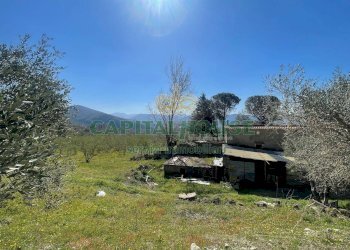 Foto 9 - Terreno agricolo avella, Avella - foto 9