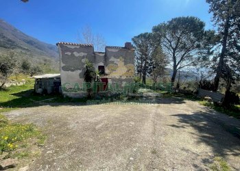 Foto 10 - Terreno agricolo avella, Avella - foto 10