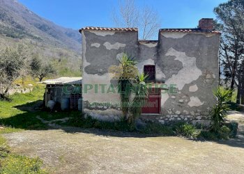 Foto 11 - Terreno agricolo avella, Avella - foto 11