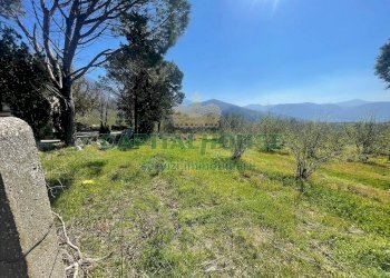 Foto 12 - Terreno agricolo avella, Avella - foto 12