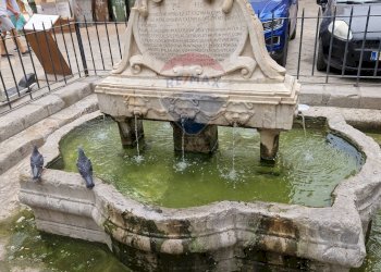 Giardino - Appartamento VIA GARRAFFELLO
 
25, Palermo - foto 3