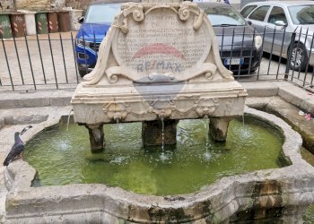 Giardino - Appartamento VIA GARRAFFELLO
 
25, Palermo - foto 5