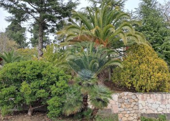 Giardino - Villa C/DA CHIARETTA, Polizzi Generosa - foto 43