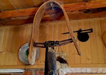 Dettagli - Baita portella colla strada provinciale 119, Polizzi Generosa - foto 27