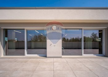 Terrazza - Appartamento Cavezzo - foto 13