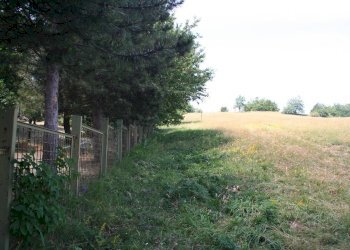 Foto 10 - Baita Sarnano - San Liberato, Sarnano - foto 10