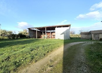 Foto 4 - Rustico Contrada Sterpare, Treia - foto 4