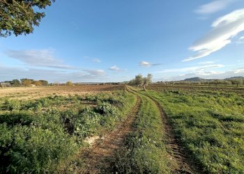 Foto 19 - Rustico Contrada Sterpare, Treia - foto 19