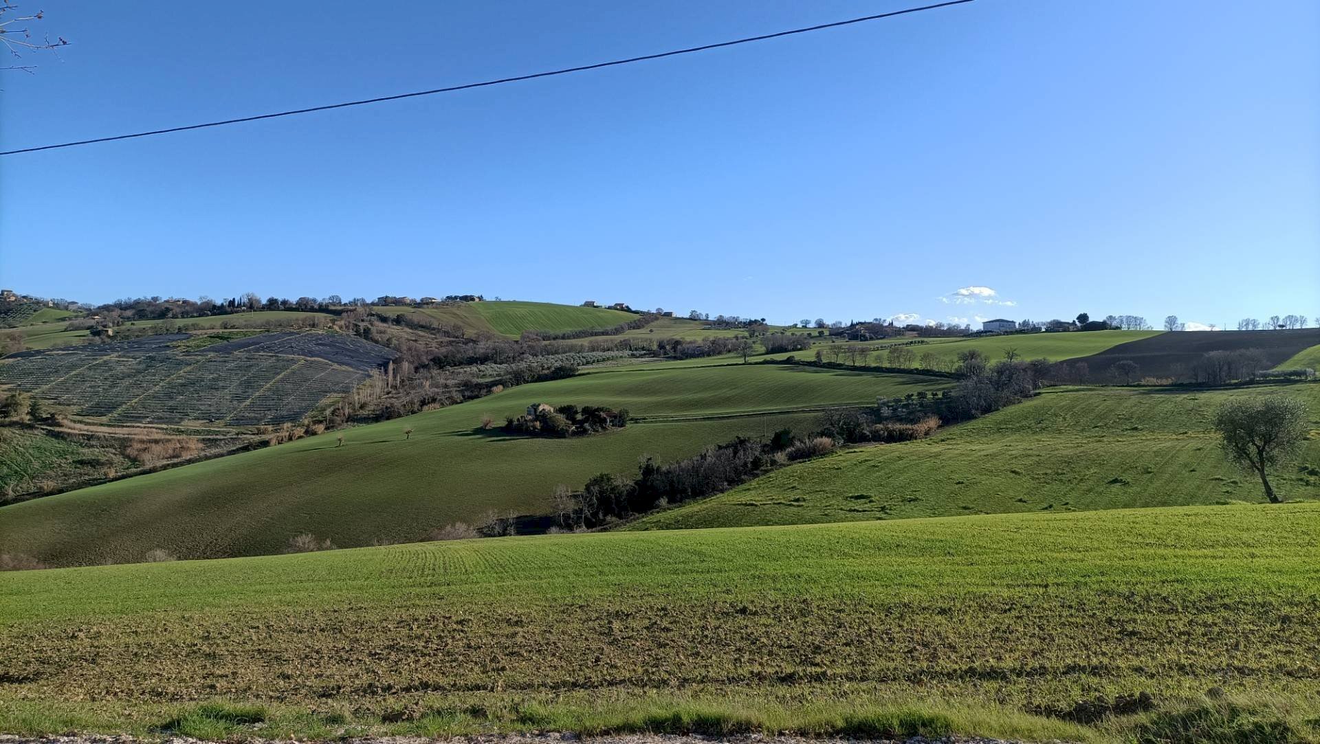 Foto 1 - Terreno agricolo Contrada Montenovo, Montelupone - foto 1