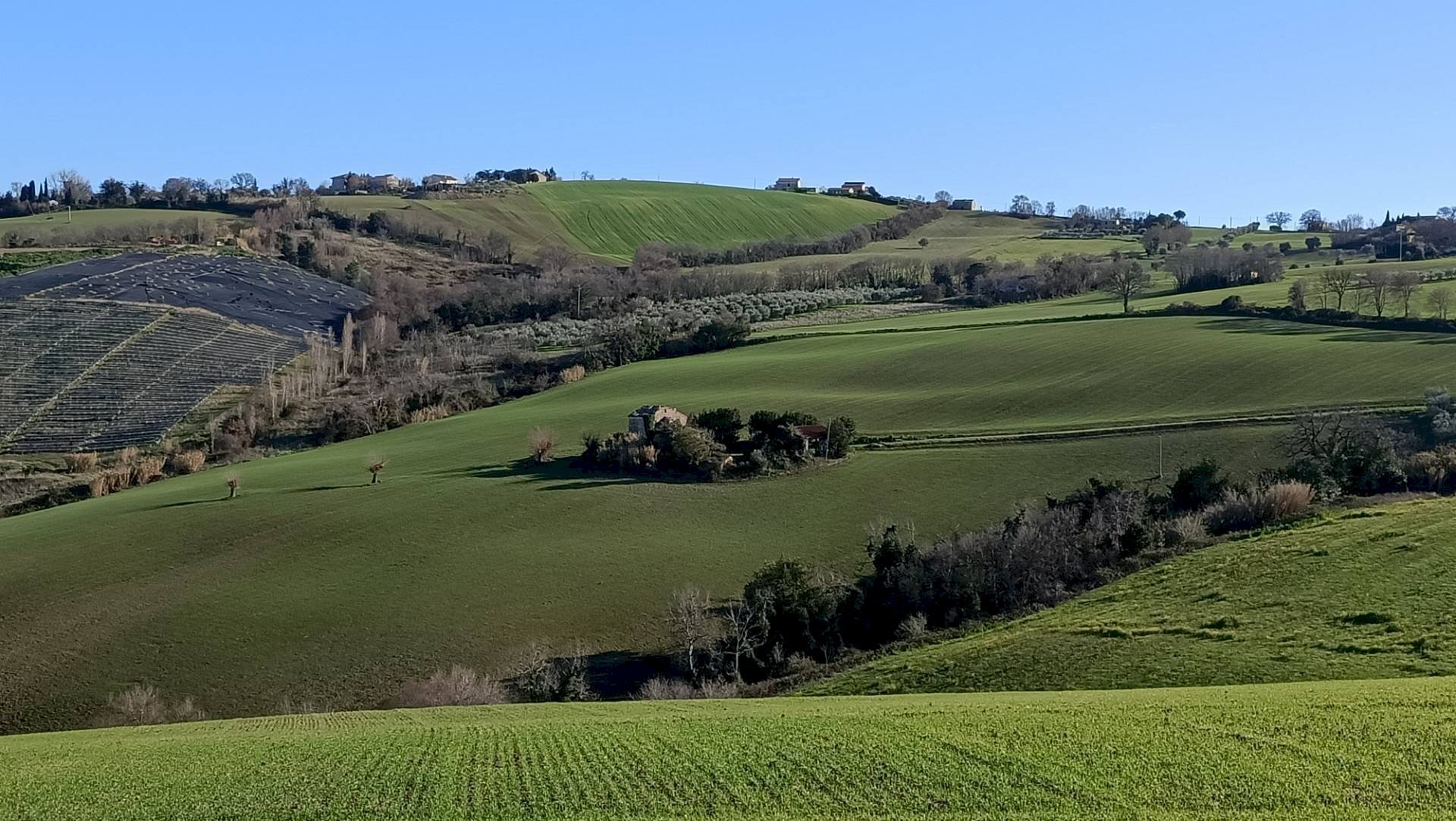 Foto 2 - Terreno agricolo Contrada Montenovo, Montelupone - foto 2