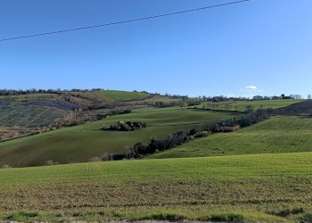 Foto 1 - Terreno agricolo Contrada Montenovo, Montelupone - foto 1