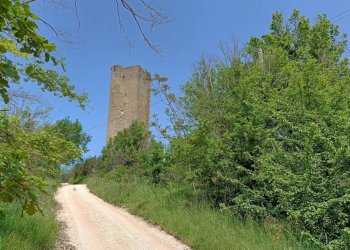 Foto 7 - Villa San Severino Marche - foto 7