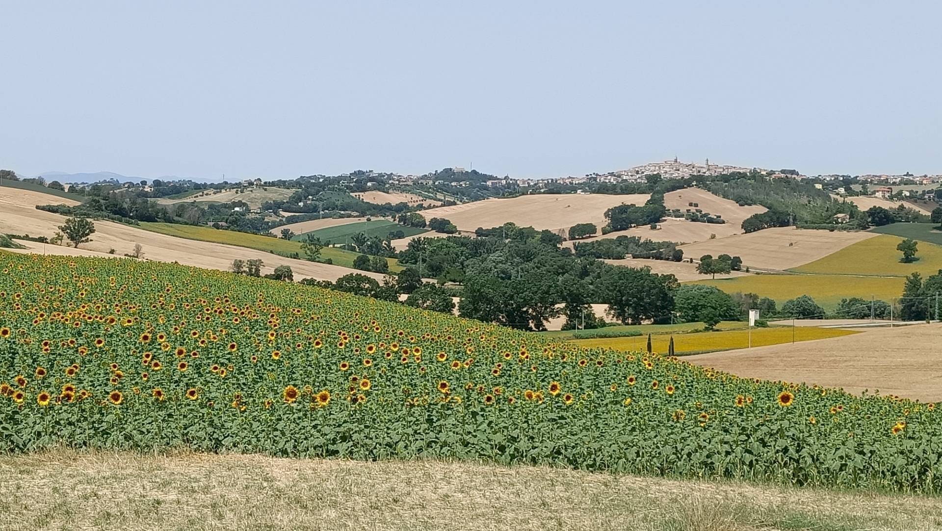 Foto 1 - Rustic Via San Tossano, Monte San Giusto - photo 1