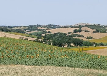 Foto 1 - Rustico Via San Tossano, Monte San Giusto - foto 1