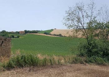 Foto 5 - Rustico Via San Tossano, Monte San Giusto - foto 5