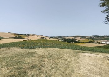 Foto 8 - Rustico Via San Tossano, Monte San Giusto - foto 8