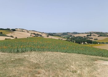 Foto 9 - Rustico Via San Tossano, Monte San Giusto - foto 9