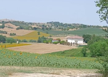 Foto 10 - Rustico Via San Tossano, Monte San Giusto - foto 10