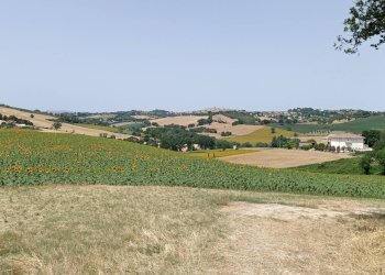 Foto 11 - Rustico Via San Tossano, Monte San Giusto - foto 11