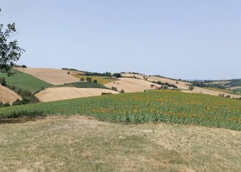 Foto 12 - Rustico Via San Tossano, Monte San Giusto - foto 12