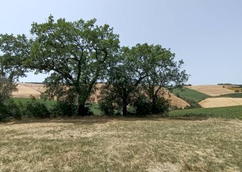 Foto 13 - Rustico Via San Tossano, Monte San Giusto - foto 13