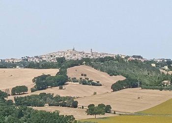 Foto 14 - Rustico Via San Tossano, Monte San Giusto - foto 14