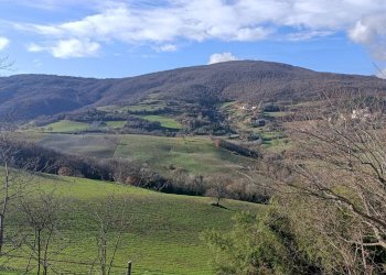 Foto 1 - Casa indipendente Località Agello, San Severino Marche - foto 1