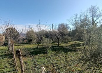 Foto 2 - Casa indipendente Località Agello, San Severino Marche - foto 2