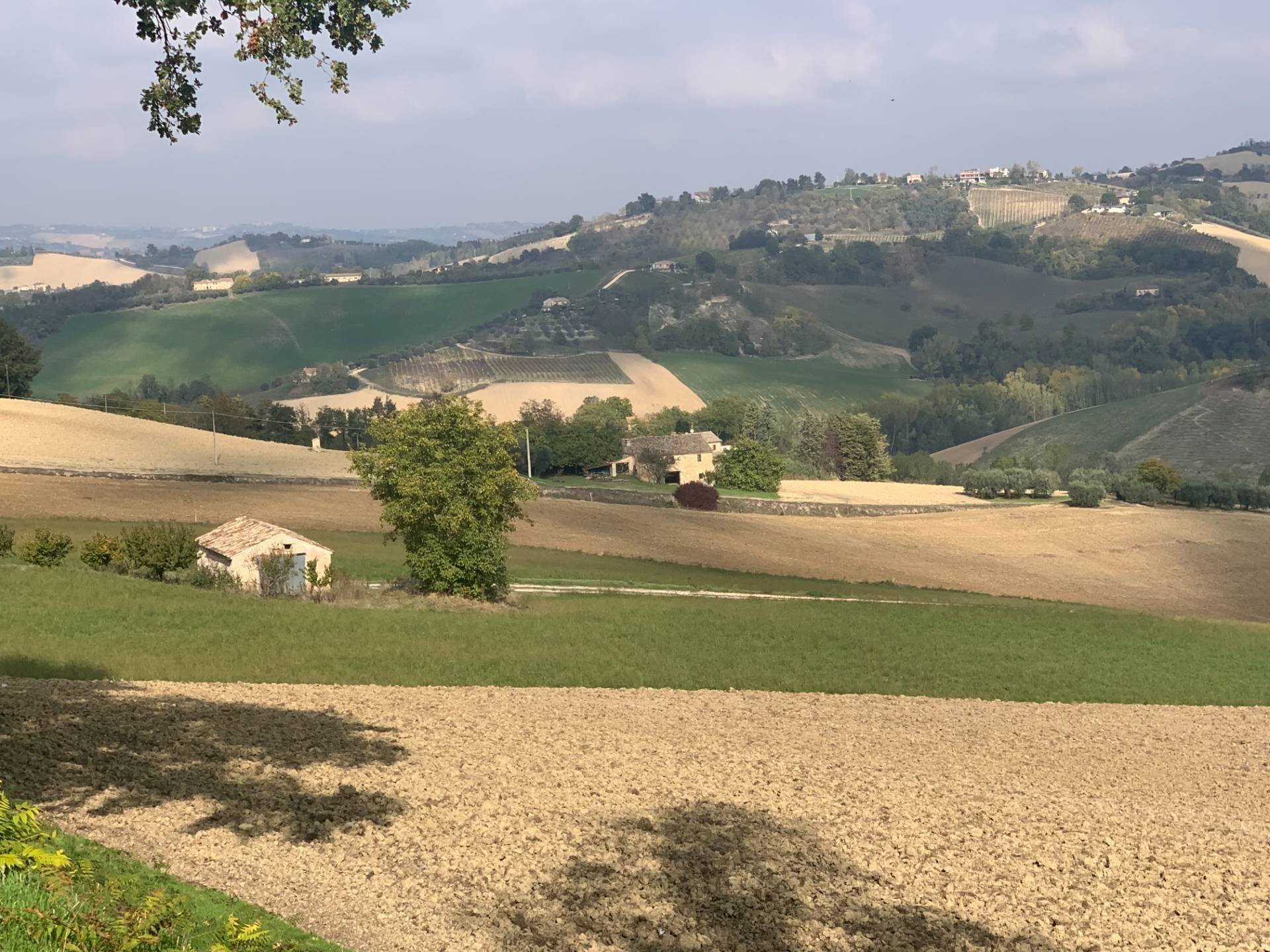 Foto 1 - Casa indipendente Contrada San Procolo, Monte Vidon Combatte - foto 1