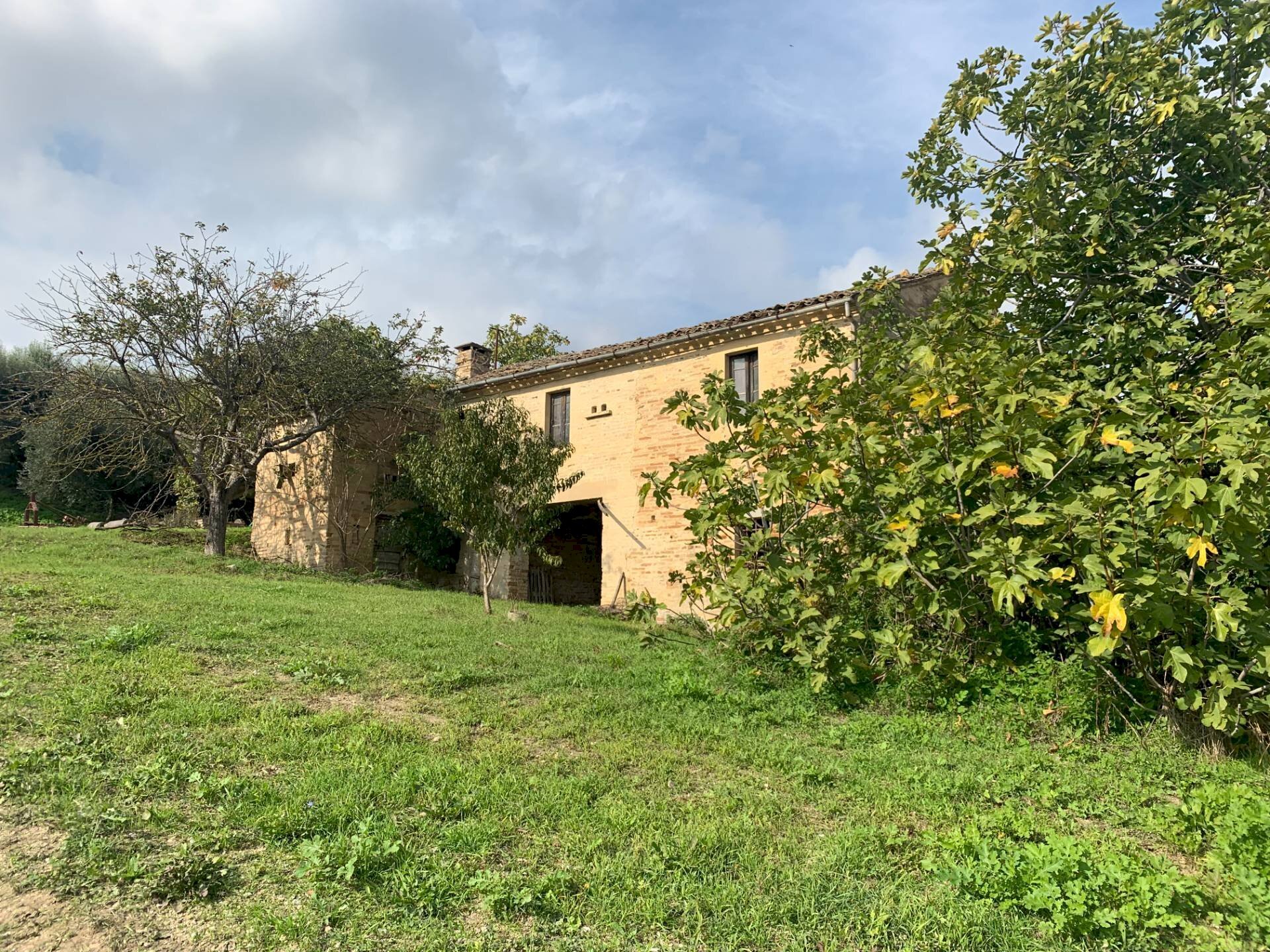 Foto 2 - Casa indipendente Contrada San Procolo, Monte Vidon Combatte - foto 2