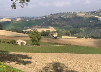 Foto 1 - Casa indipendente Contrada San Procolo, Monte Vidon Combatte - foto 1