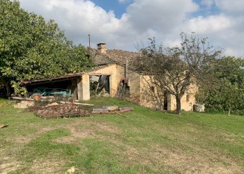 Foto 4 - Casa indipendente Contrada San Procolo, Monte Vidon Combatte - foto 4