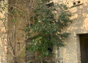 Foto 5 - Casa indipendente Contrada San Procolo, Monte Vidon Combatte - foto 5